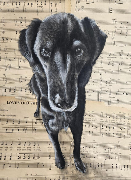 Charcoal Dog